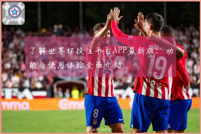 了解世界杯投注平台APP最新版：功能与使用体验全面介绍