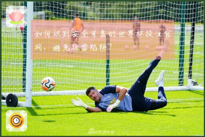 如何识别安全可靠的世界杯投注官网，避免踩雷陷阱？