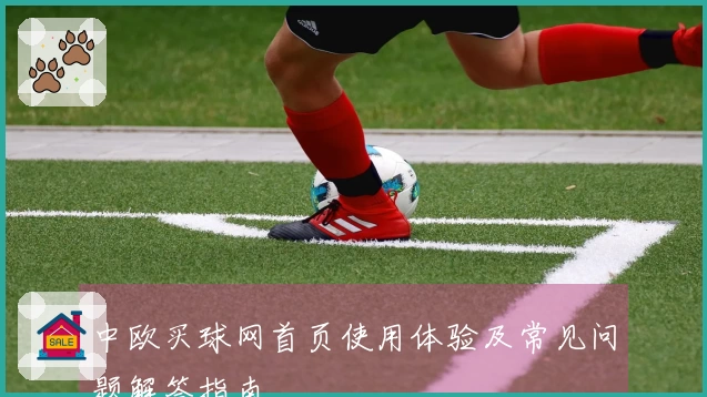 中欧买球网首页使用体验及常见问题解答指南