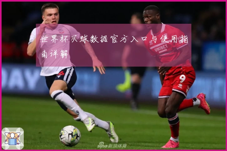 世界杯买球数据官方入口与使用指南详解