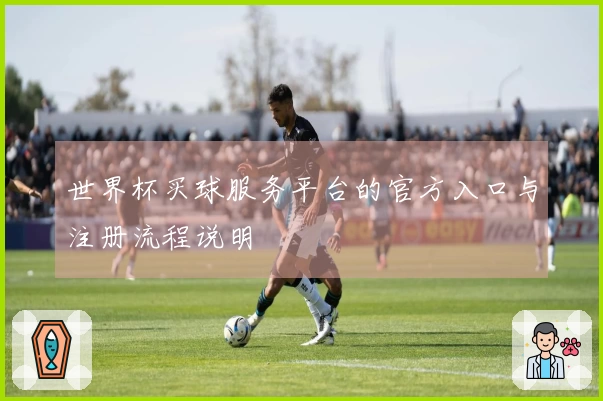 世界杯买球服务平台的官方入口与注册流程说明