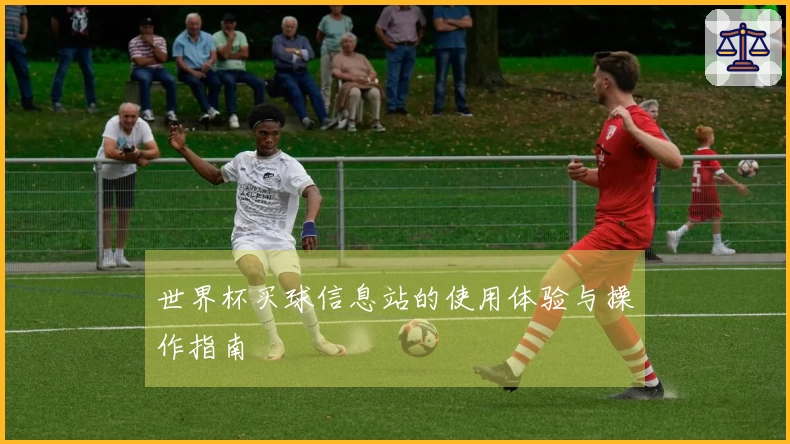 世界杯买球信息站的使用体验与操作指南