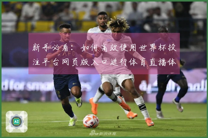新手必看：如何高效使用世界杯投注平台网页版入口进行体育直播体验