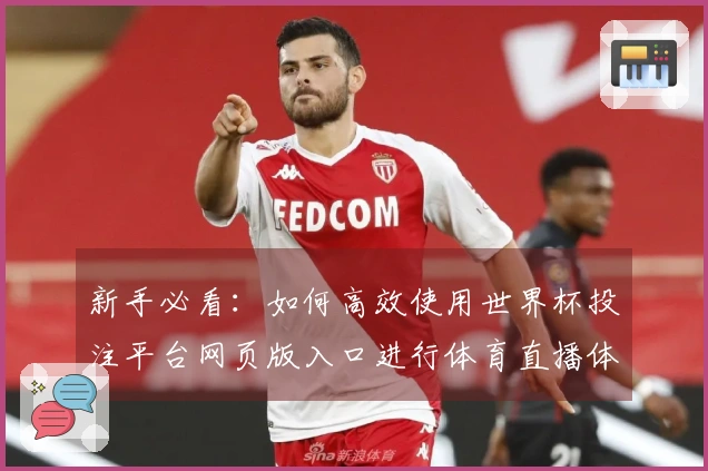 新手必看：如何高效使用世界杯投注平台网页版入口进行体育直播体验