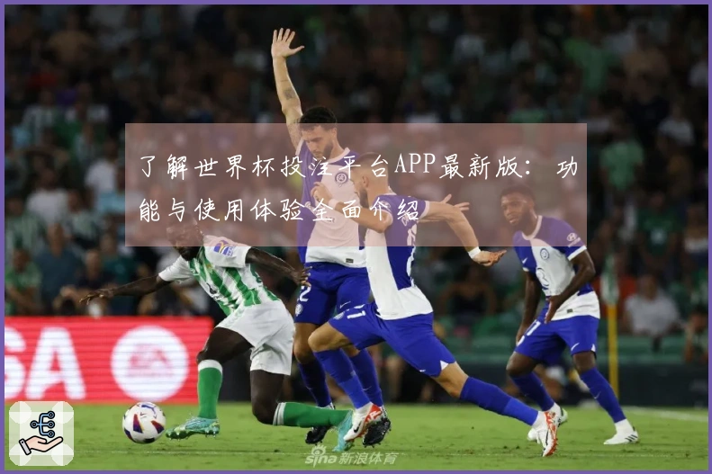 了解世界杯投注平台APP最新版:功能与使用体验全面介绍