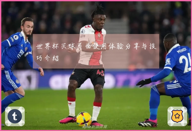 世界杯买球页面使用体验分享与技巧介绍