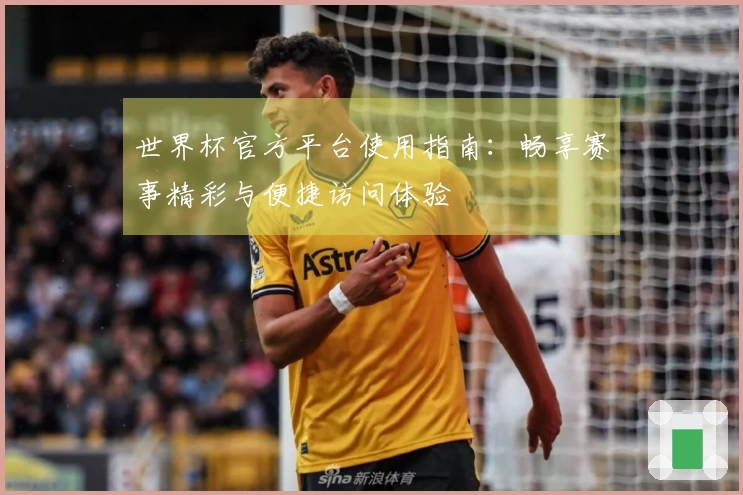 世界杯官方平台使用指南：畅享赛事精彩与便捷访问体验