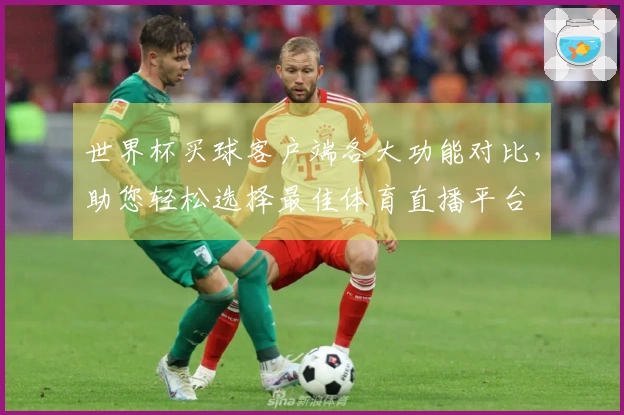 世界杯买球客户端各大功能对比,助您轻松选择最佳体育直播平台