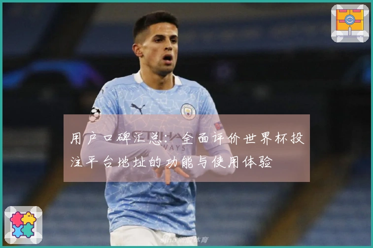 用户口碑汇总:全面评价世界杯投注平台地址的功能与使用体验