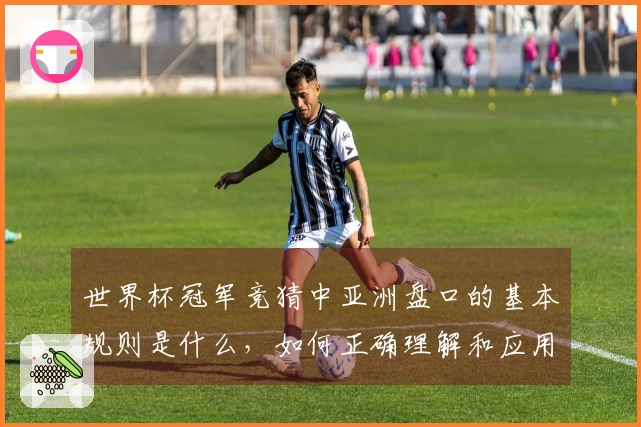 世界杯冠军竞猜中亚洲盘口的基本规则是什么,如何正确理解和应用?