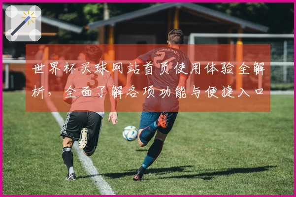 世界杯买球网站首页使用体验全解析，全面了解各项功能与便捷入口